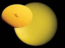 Parmi ces films, lequel existe vraiment ?