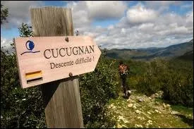 Parmi ces films, lequel existe vraiment ?