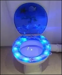 Un petit passage aux toilettes s'impose... Impossible de ne pas remarquer cette lunette de WC...