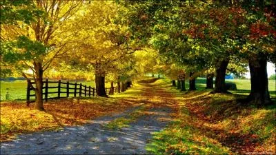 Au soir du 5 juin 1944, ces quelques mots de Verlaine annoncrent aux rsistants franais, sur la T. S. F. , l'imminence du dbarquement !