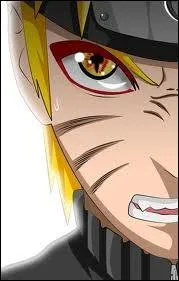 En quoi consiste le Senjutsu ?