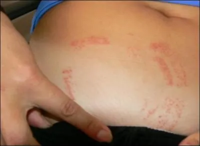 Quel prdateur de nos eaux douces franaises peut attaquer une proie de plus de 20 kilos ?