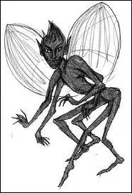 Comment s'appelle cette crature ?