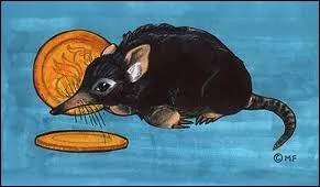 Comment s'appelle cette crature ?