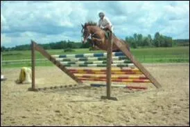 Quel est cet obstacle ?