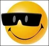 Que veut dire ce smiley ?