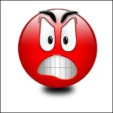 Que veut dire ce smiley ?