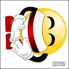 Que veut dire ce smiley ?