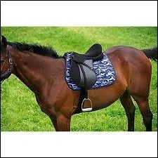 Cette selle est-elle bien mise ?