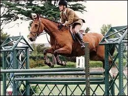 Comment se nomme cette activit� ?