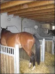 Comment se nomme cet h�bergement