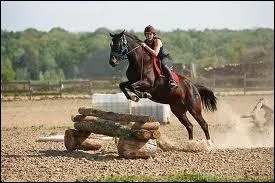 Quelle est cette discipline questre ?