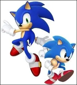 Dans  Sonic Rush , quel genre d'aventure mne Sonic ?