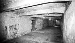 Quel gaz mortel tait utilis dans les chambres  gaz ?