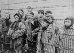 La population juive en Europe était estimée à 9 millions de personnes avant-guerre. Combien furent victimes de la Shoah ?