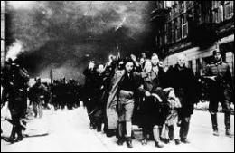 Quel nom les historiens ont-ils donné au pogrom organisé contre les Juifs qui se déroula dans la nuit du 9 novembre au 10 novembre 1938 , prélude annonciateur de la Shoah ?
