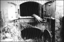 Comment les nazis ont-ils appel la mesure radicale pour rgler le   problme   juif ?