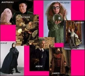 Quel professeur se fait renvoyer de Poudlard lors de la 5e anne ?