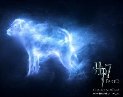 Qui a un chien en patronus ?