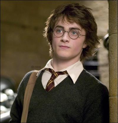 Qui est all chercher Harry pour la 1re fois  Poudlard ?