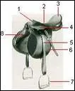 Quelle est la partie 3 de la selle ?