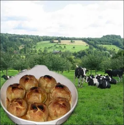 Les bourdelots sont des pommes vides, enveloppes de pte brise ou feuillete. Ces ptisseries se dgustant chaudes ou froides sont originaires de ... .