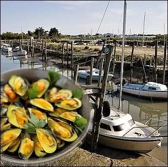 Prpare avec des moules de bouchot, des chalotes, du beurre, des jaunes d'oeufs, de l'ail, de la crme frache et du pineau, cette mouclade est une spcialit ... .
