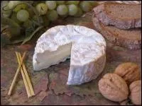 Le seul, le vrai camembert est issu de laits crus.