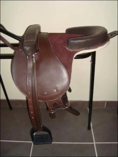 Comment s'appelle cette selle ?