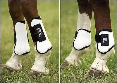 Comment s'appelle ce type d'quipement ?