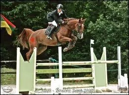 A partir de quel galop peut-on faire des comptitions ?