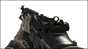 Quel est le nom de cette arme ?