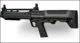 Quel est le nom de cette arme ?