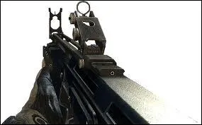 Quel est le nom de cette arme ?