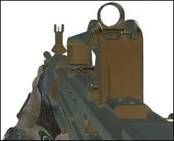 Quel est le nom de cette arme ?