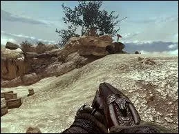 Quel est le nom de cette arme ?