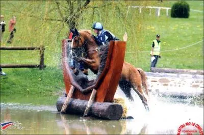 De quelle comptition s'agit-il ?