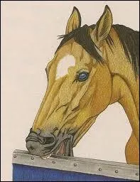 Par quel phnomne un cheval a-t-il un tic ?