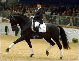 Quelle figure n'existe pas en dressage ?