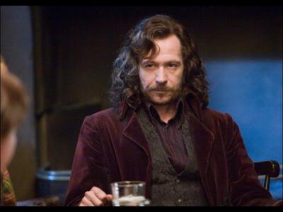 Sirius Black est mentionn pour la 1re fois dans le livre  Harry Potter a l'cole des sorciers  