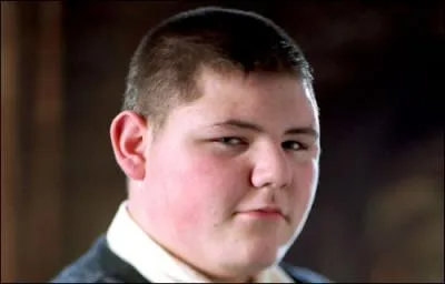 L'acteur de Vincent Crabbe n'a pas jou dans le dernier film car il avait un autre projet .