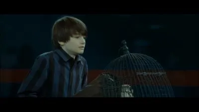 19 ans plus tard, l'un des fils de Harry s'appelle Albus Sirius Potter .