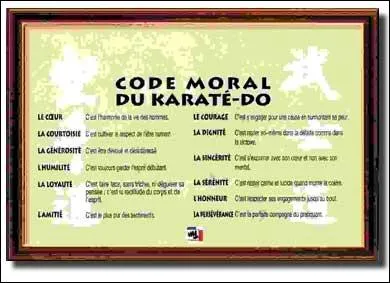 En quelle anne, le  karat-do  a-t-il fait son apparition, en France ?