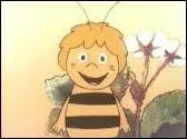 Compltez : Cette petit abeille porte le nom de Maya. Petite, oui mais ... Maya