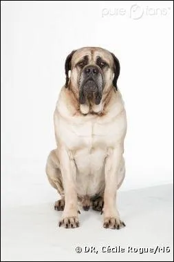 Quel est ce personnage ?