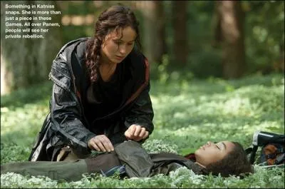 Quel est le nom de la chanson que chante Katniss pour Rue ?