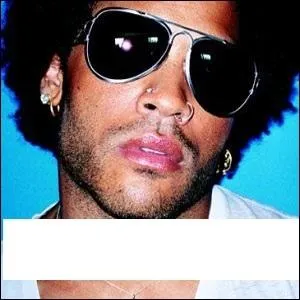 Quel nom porte cet album de Lenny Kravitz ?