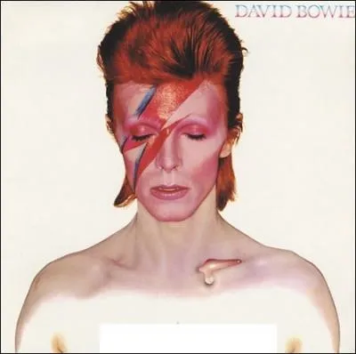 Quel nom porte cet album de David Bowie ?