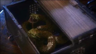 D'o viennent les serpents utiliss pour tuer le pre de Blanche-Neige ?