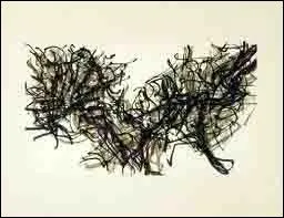 Il adorait cet oiseau qu'il a peint et lithographi... .